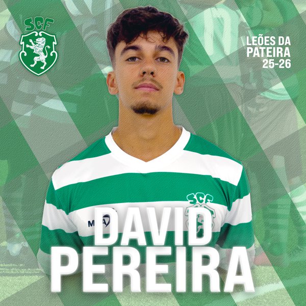 David Pereira