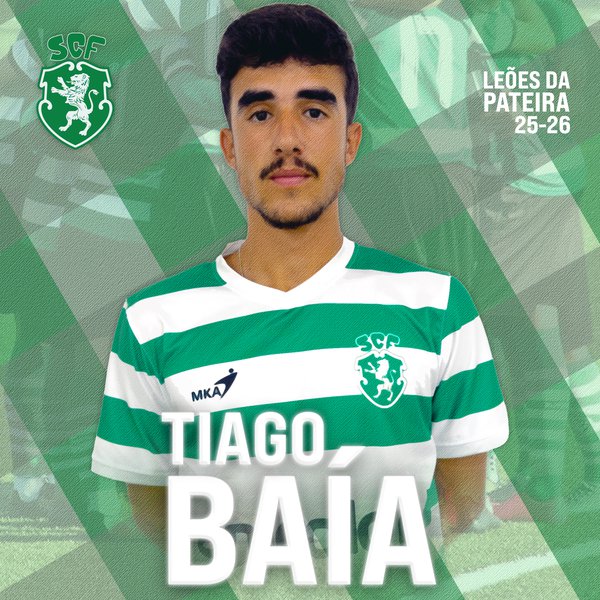 Baía