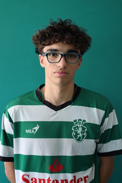 Patronilho