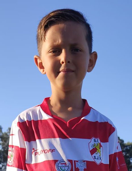 HENRIQUE. Henrique Caetano Faustino