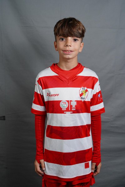 HENRIQUE. Henrique Sousa Coelho