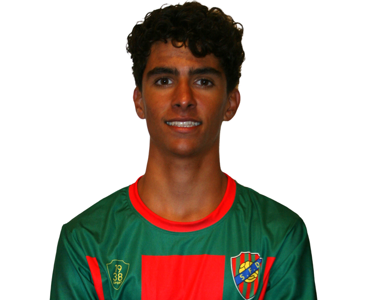 Martim Martins