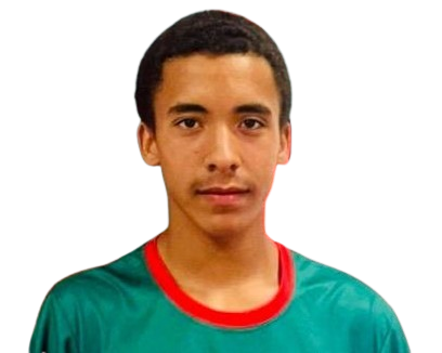 Afonso Ferreira