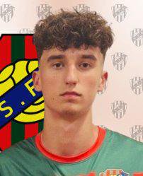 Afonso Pinheiro