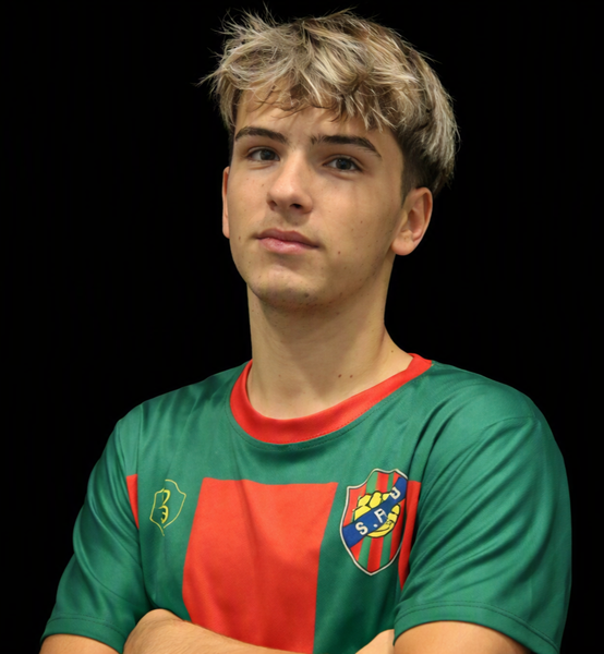 Luis Gomes