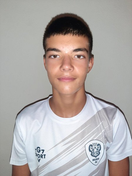 Vicente  Rosa