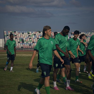 Treino