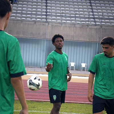 Treino