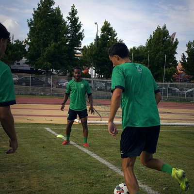 Treino