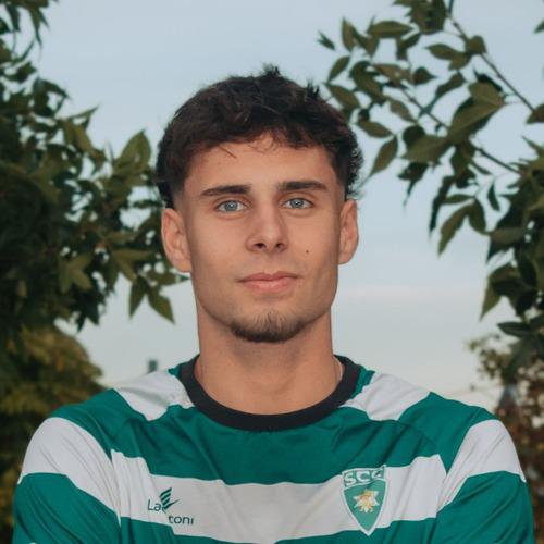 Lemos