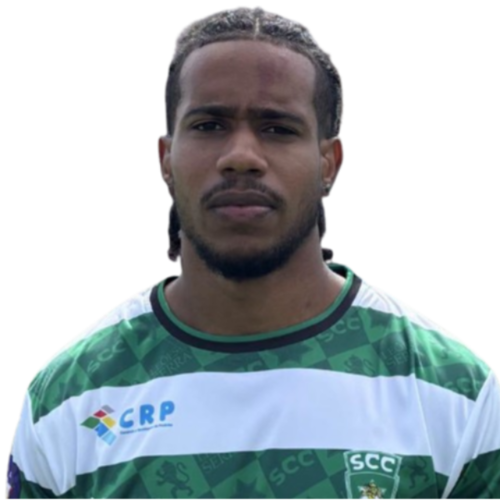 Ronaldo Coelho