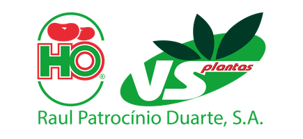 Raul Patrocinio Duarte