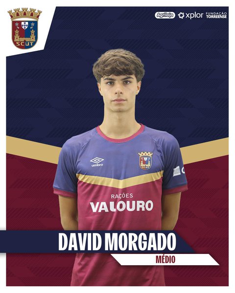 David Morgado