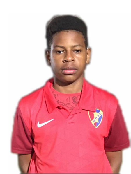 Hugo Afonso