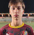 Manuel Araújo