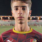 Afonso Banazol