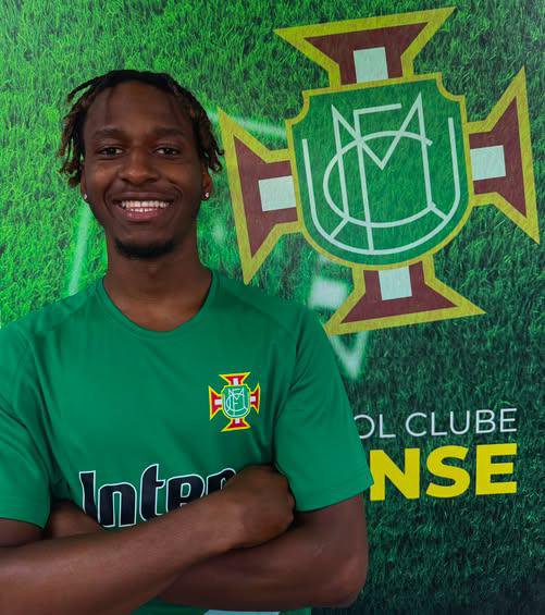 Paulo Arsénio | Renovação