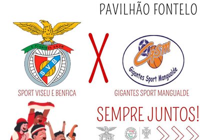 Futsal Feminino Sport Viseu e Benfica