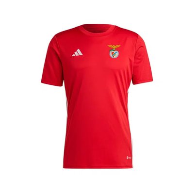 Camisola Treino