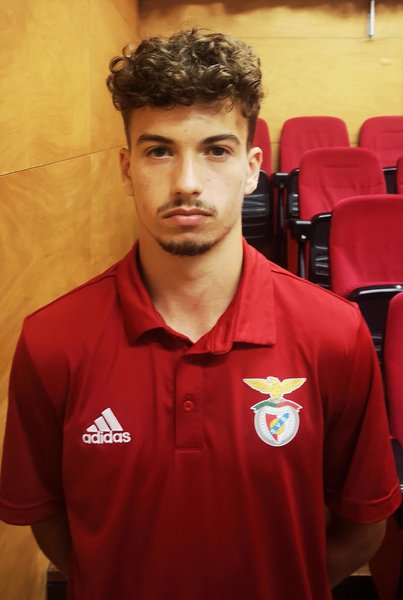Henrique Borges