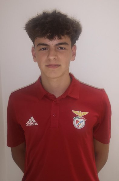 Afonso Loureiro