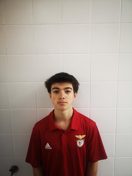 Ari Santos